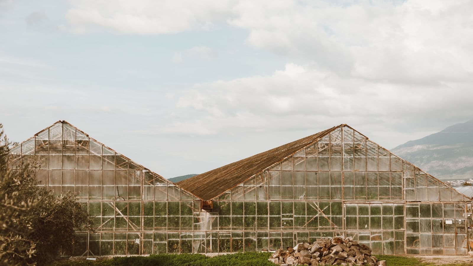 Rustic greenhouses set against a rural backdrop under a cloudy sky.