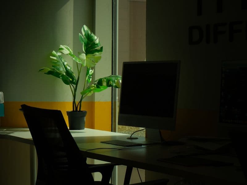 A minimalist office space featuring a desk, computer monitor, and green potted plant by a window.